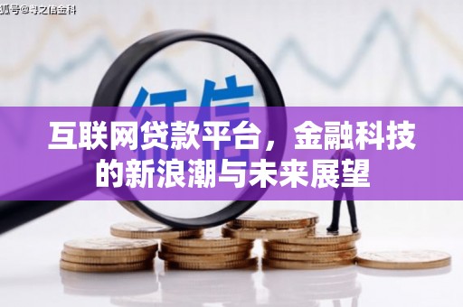 南市互联网贷款平台，金融科技的新浪潮与未来展望