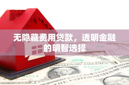 南市无隐藏费用贷款，透明金融的明智选择