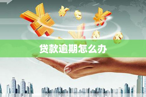 南市贷款逾期怎么办