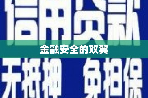 南市金融安全的双翼