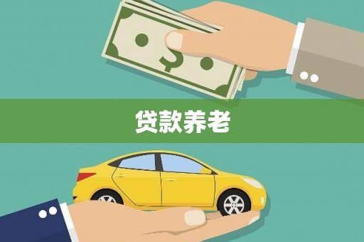 南市贷款养老