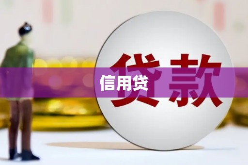 南市信用贷