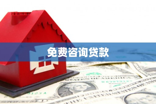 南市免费咨询贷款