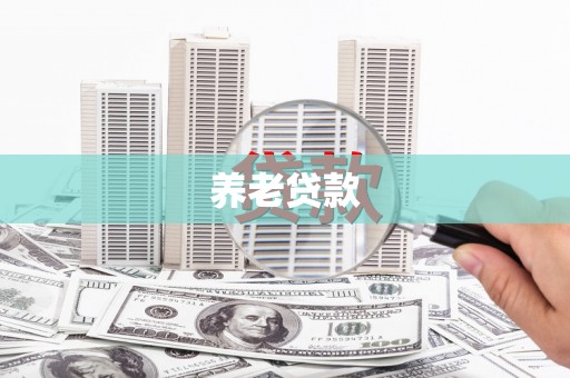 南市养老贷款
