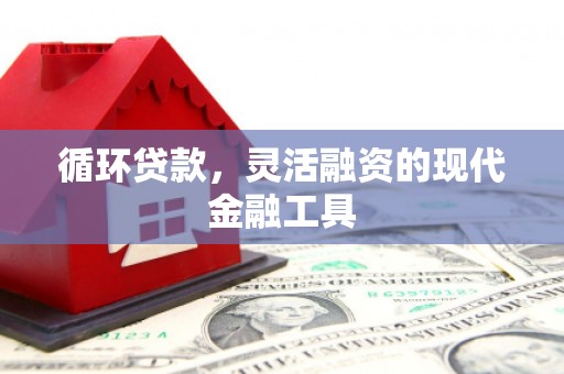 南市循环贷款，灵活融资的现代金融工具