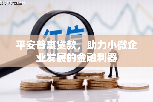 南市平安普惠贷款，助力小微企业发展的金融利器
