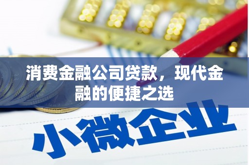 南市消费金融公司贷款，现代金融的便捷之选