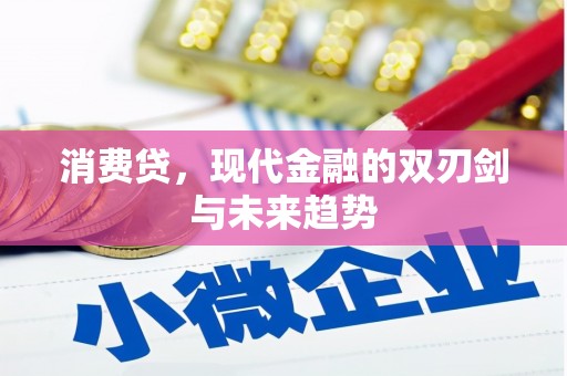 南市消费贷，现代金融的双刃剑与未来趋势