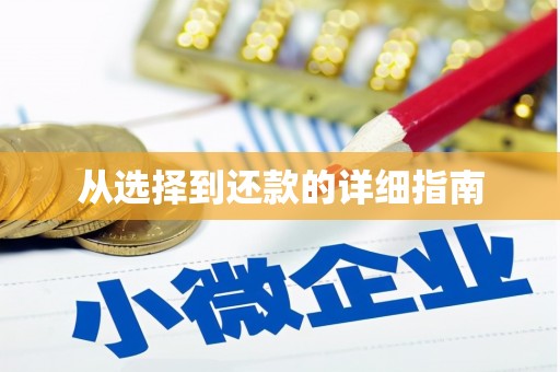 南市从选择到还款的详细指南
