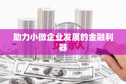 南市助力小微企业发展的金融利器