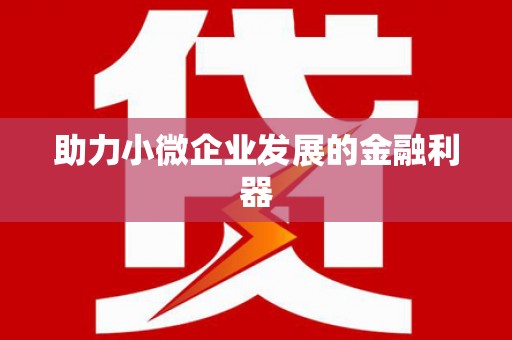 南市助力小微企业发展的金融利器