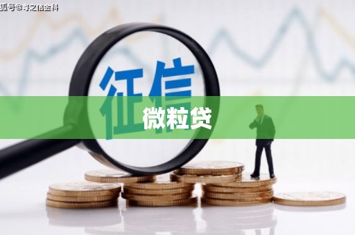 南市微粒贷