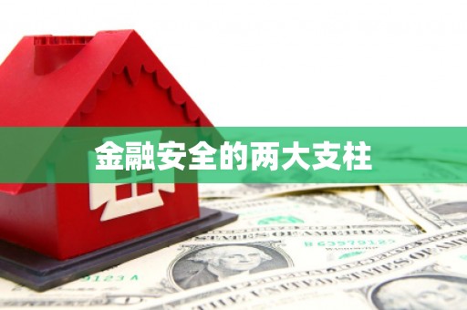 南市金融安全的两大支柱