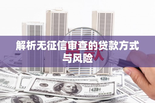 南市解析无征信审查的贷款方式与风险