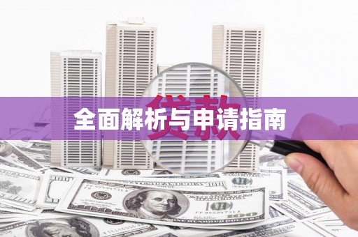 南市全面解析与申请指南